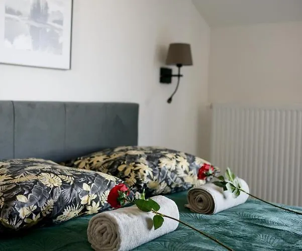 Oliwka Z Prywatnym Miejscem Postojowym * 카르파츠